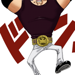 カテゴリ 黒ひげ海賊団 One Piece Wiki Fandom