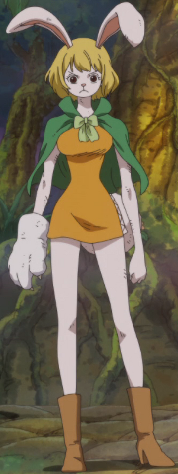 Carrot | One Piece Wiki | Fandom