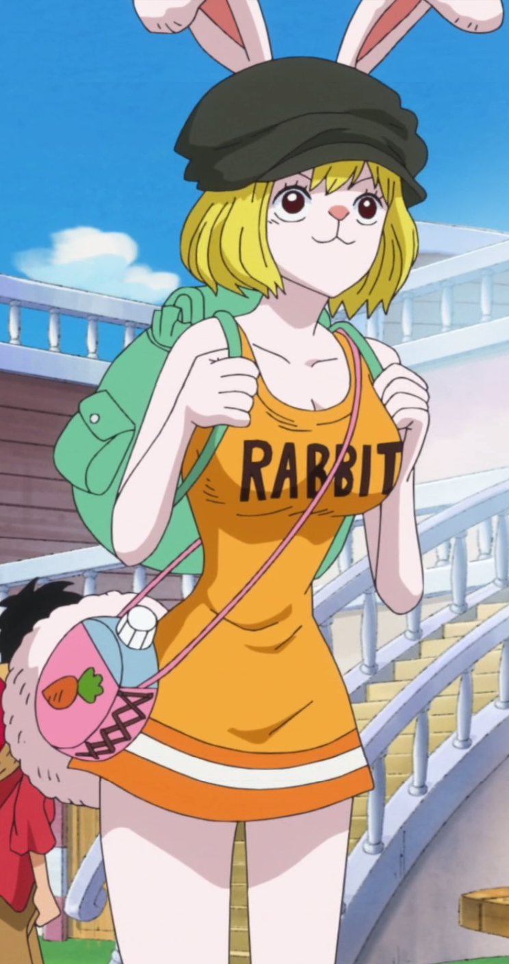 Carrot One Piece Wiki Fandom