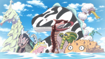 Animal Species One Piece Wiki Fandom