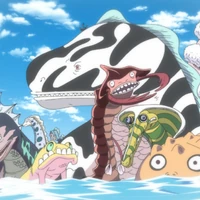 Sea King One Piece Wiki Fandom