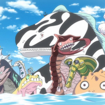海王類 航海王wiki Fandom