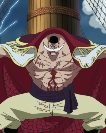 Gura Gura No Mi One Piece Wiki Fandom Gura Gura No Mi One Piece Wiki Fandom