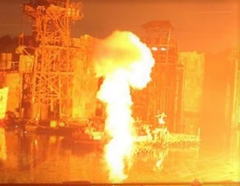 Nito Nito no Mi Infobox