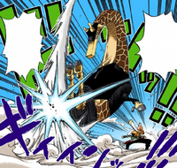 Rokushiki/Rankyaku, One Piece Wiki