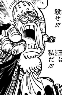 Bekori Older Appearance