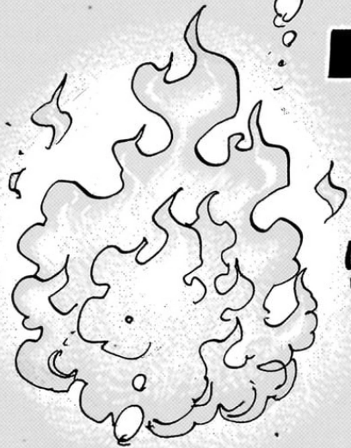 Mother Flame One Piece Encyclopédie Fandom