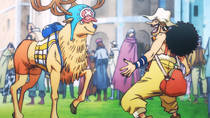 We decided it was too different”: Not Chopper, One Piece Live-Action Had to  Skip Another Favorite Animal Character to Focus on Luffy and Zoro -  FandomWire