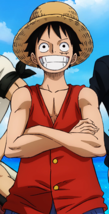 one piece luffy after timeskip