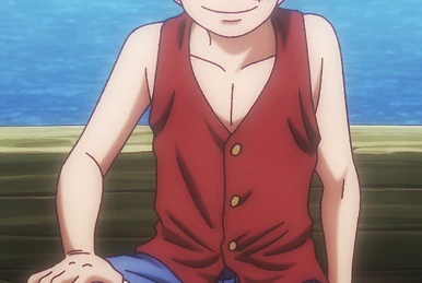 Hurricane Girls | One Piece Wiki | Fandom