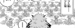 Nekomamushi Visits Pineapple Island