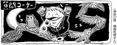 Sbs Volume 81 One Piece Wiki Fandom