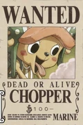 Chopper's Wanted Poster.