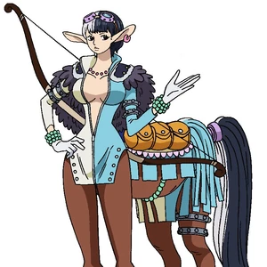 Discuss Everything About One Piece Wiki | Fandom