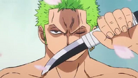 Zoro con un tanto