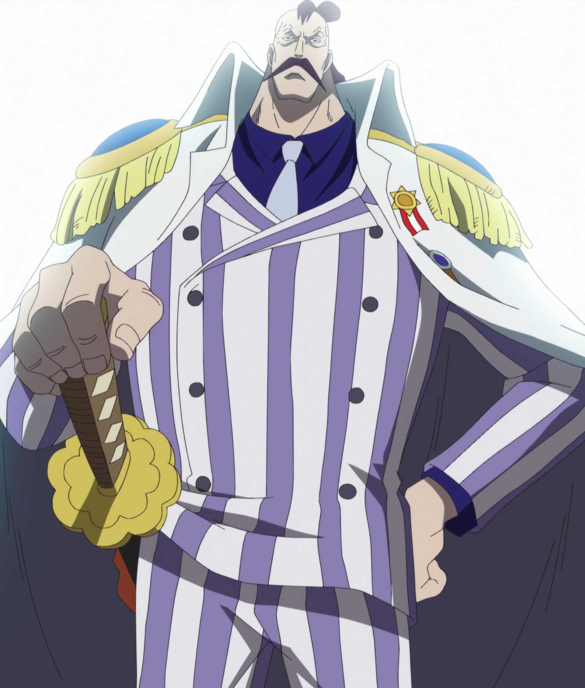 Captain (Marine Rank), One Piece Wiki