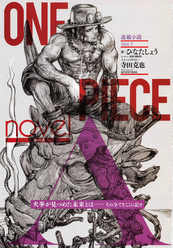 Japan One Piece Novel Lot One Piece Novel Ace Vol 1 2 Set Japanese Anime Drkingplaza One Piece