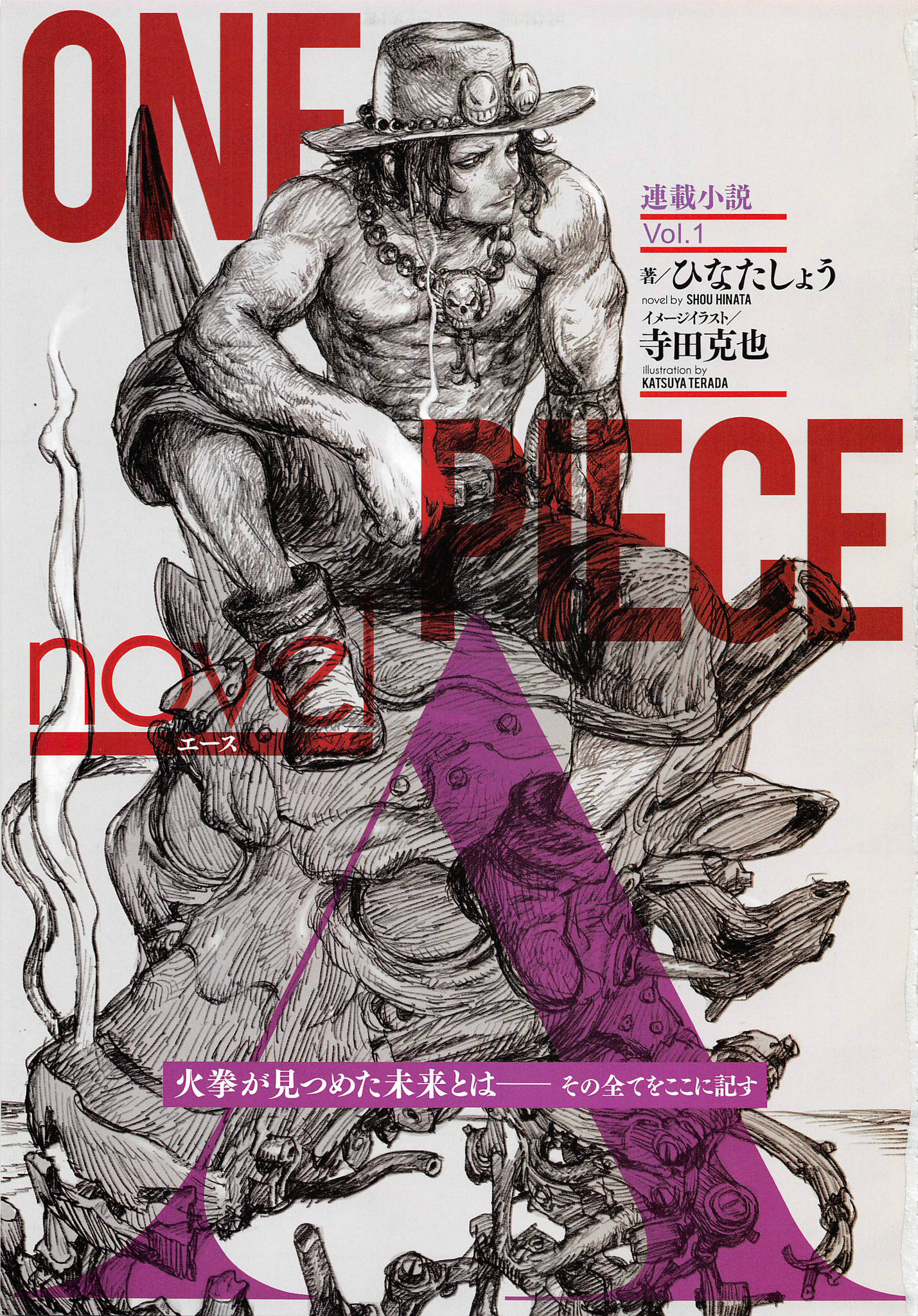 One Piece Novels, One Piece Wiki