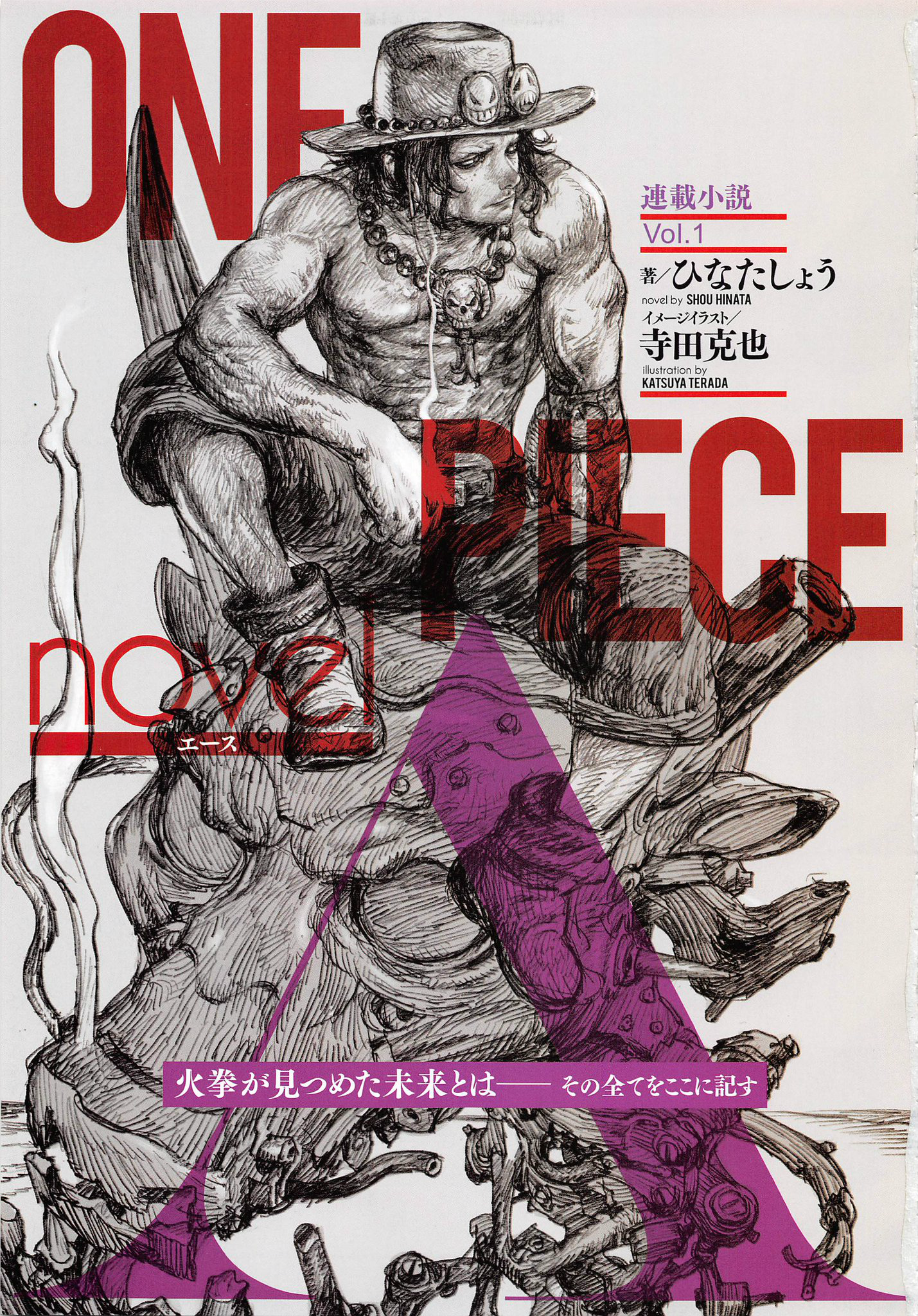 One Piece novel A | One Piece Wiki | Fandom