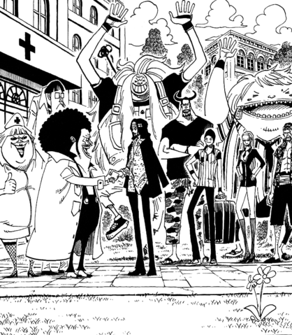 piecePROJECT: A História do Mangá Nacional - One Piece 