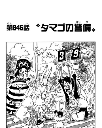 Chapter 846 One Piece Wiki Fandom