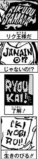 SBS 79 camisas.png