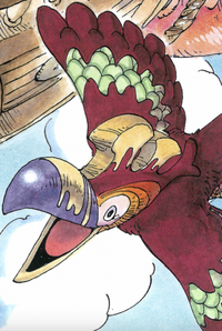 South Bird One Piece Wiki Fandom