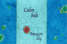 Amazon lily in calm belt