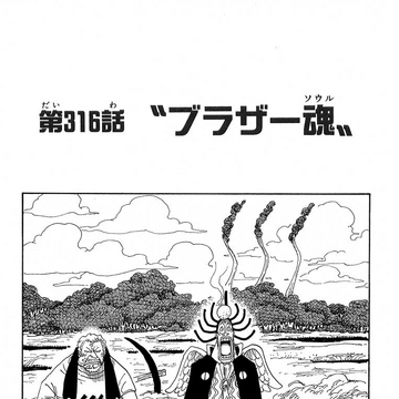 Chapter 316 One Piece Wiki Fandom