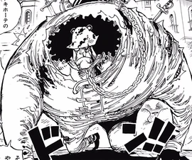 Bartholomew Kuma One Piece Encyclopedie Fandom