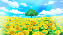 Flower Hill Field