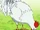 Suzume