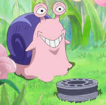 What is Den Den Mushi in One Piece?