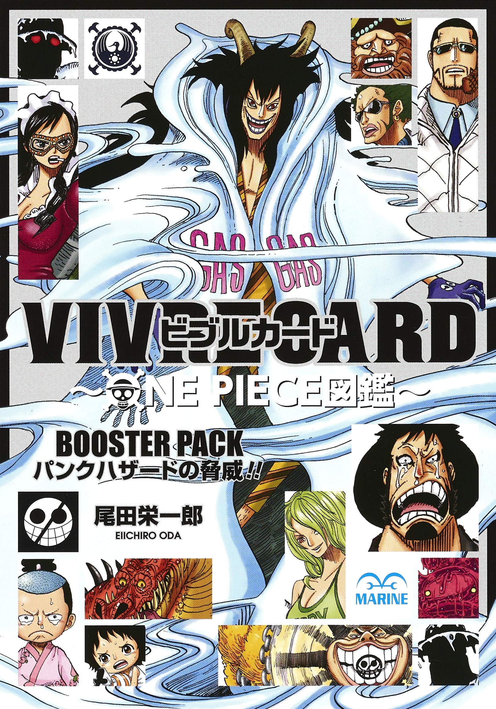 Databooks One Piece Vivre Card One Piece Visual Dictionary One Piece Encyclopedie Fandom