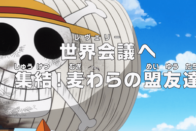 Episode 877 - One Piece - Anime News Network