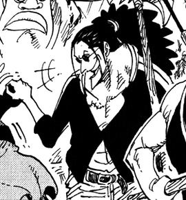 Scopper Gaban One Piece Encyclopedie Fandom Scopper Gaban One Piece Encyclopedie Fandom