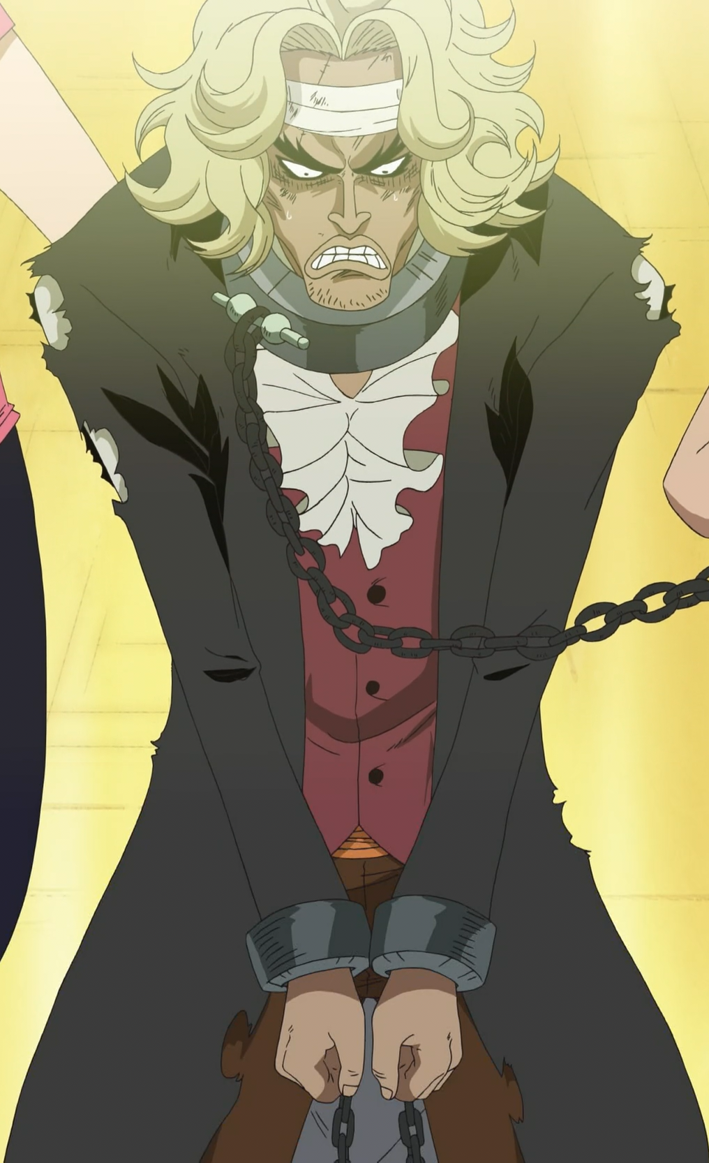 Pirate, One Piece Wiki