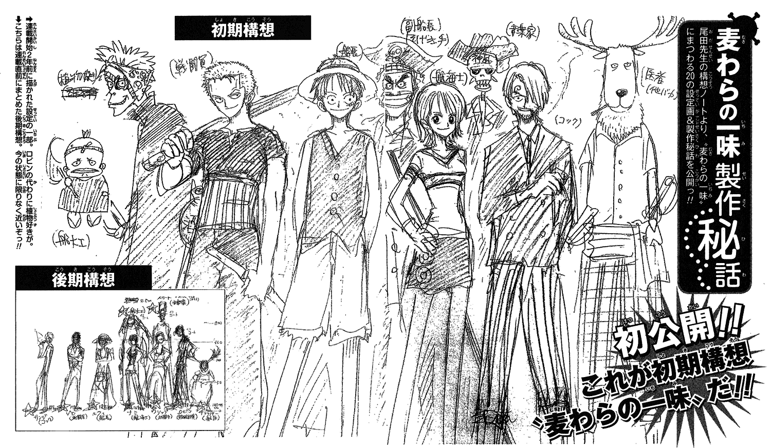 Concepts One Piece Wiki Fandom