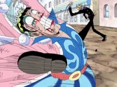 Nerkówka a'la longe (119 KB) Nerkówka a'la longe