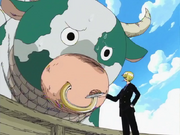 Sanji Tries to Feed Mohmoo