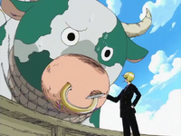 Momoo One Piece Wiki Fandom