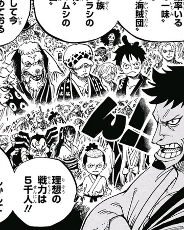 Ninja Pirate Mink Samurai Alliance One Piece Wiki Fandom