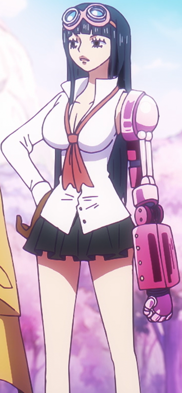 Ahiru One Piece Wiki Fandom