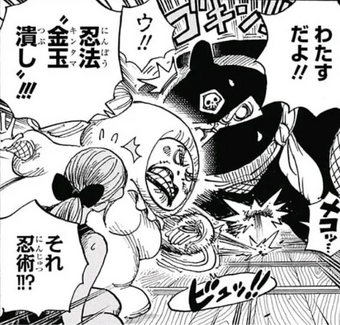 Shinobu One Piece Encyclopedie Fandom