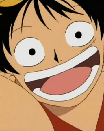 We Are One Piece Encyclopedie Fandom