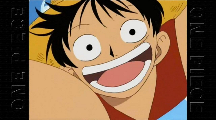 We Are One Piece Encyclopedie Fandom