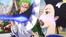 Zoro protege a Tsuru de Batman