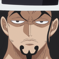Cp0 One Piece Wiki Fandom