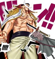 Squard Stabs Whitebeard Manga