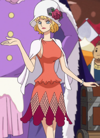 Stussy One Piece Wiki Fandom